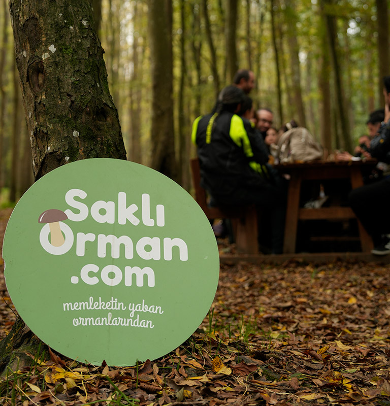 13 Aralık Mantar Avı 