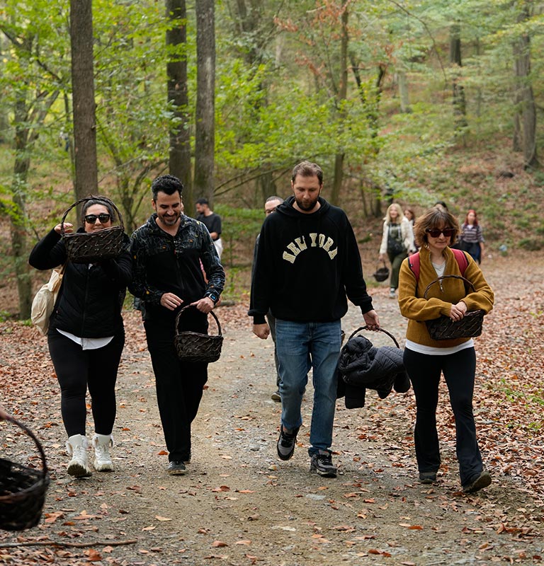 13 Aralık Mantar Avı 