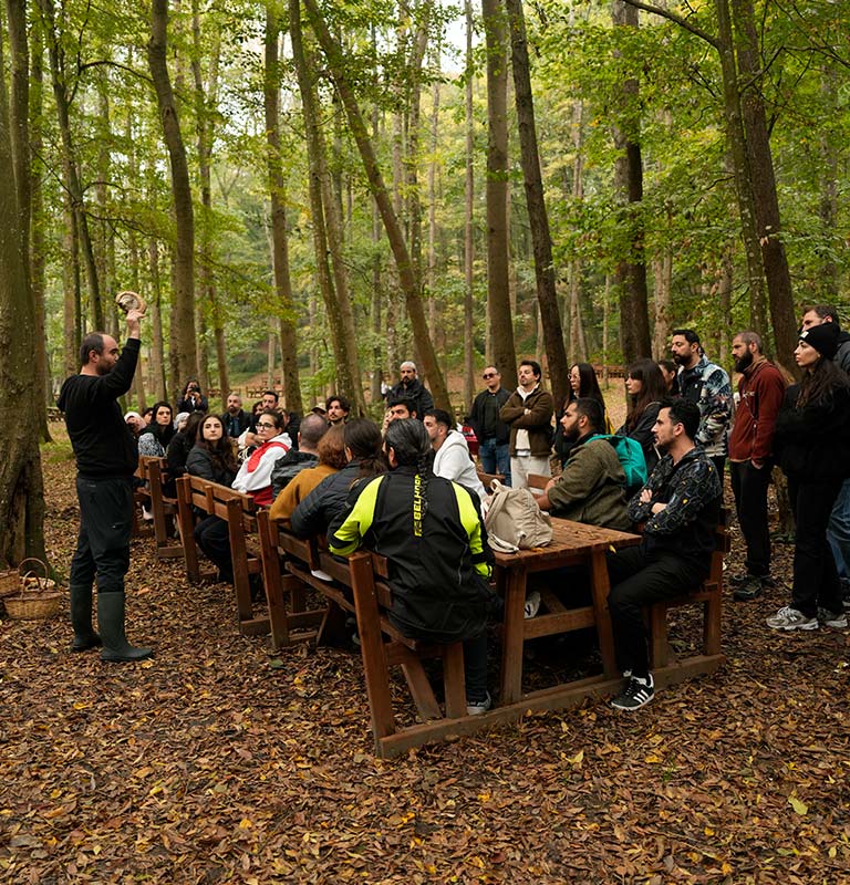 13 Aralık Mantar Avı 