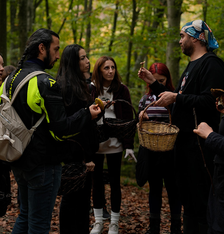 13 Aralık Mantar Avı 