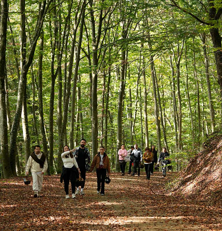 13 Aralık Mantar Avı 