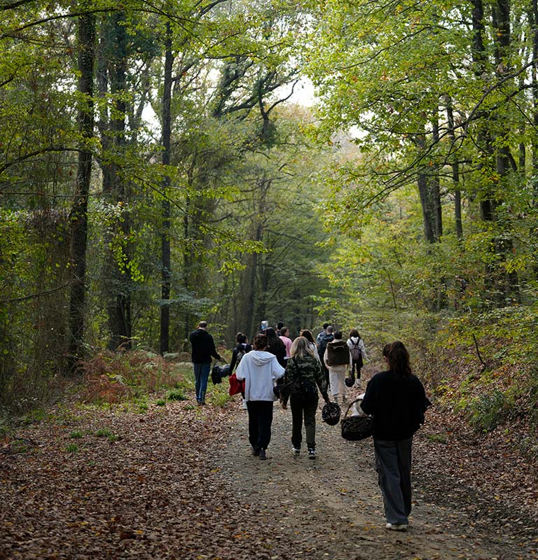 13 Aralık Mantar Avı 